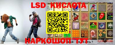ГАЛЛЮЦИНОГЕННЫЕ ГРИБЫ Ярославль